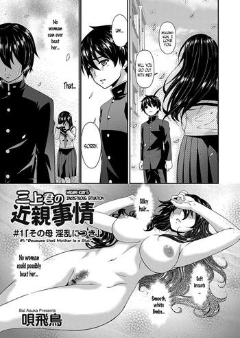 mikamikun s incestuous situation cover