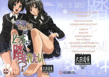 kimi wa docchi ni fumaretai cover