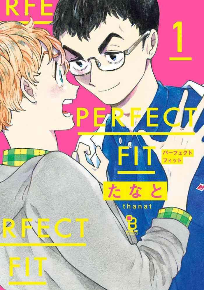 perfect fit ch 1 5 cover