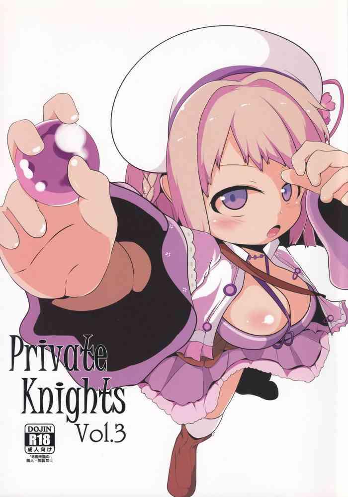 private knights vol 3 cover