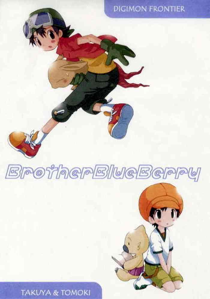 brother blueberry cover