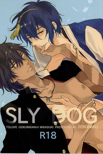 sly dog cover